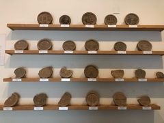 -瓦库茶馆17号(海汇港店)