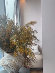 点击看大图 -栖SPA·ONDA ·海菲秀·皑皑科技美肤中心