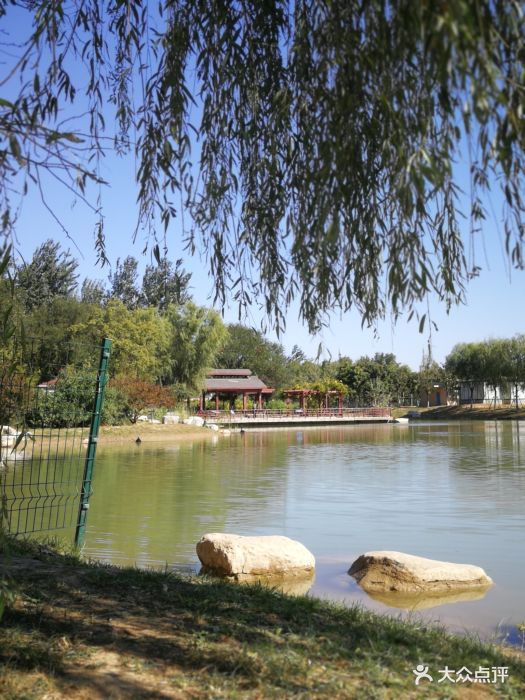 京城槐园图片 - 第2张