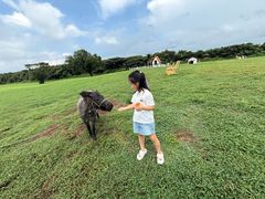 -济州森林小火车生态公园