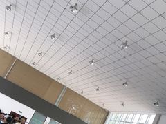-白洋淀景区