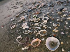 -ChanDu躔度咖啡(灯塔店)