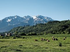 -新疆那拉提国家旅游度假区