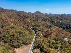 -贵州百里杜鹃风景名胜区