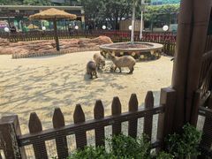 -大连森林动物园