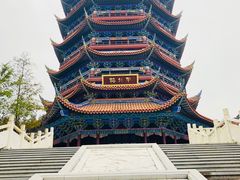 -铁山坪森林公园