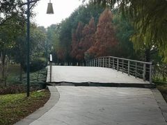 -同里国家湿地公园