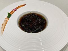 -蝶园·装修中(BFC外滩金融中心店)