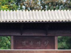 -阳台山自然风景区