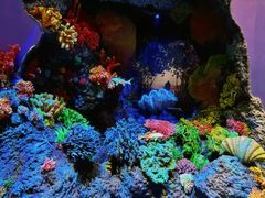 -中国湿地博物馆