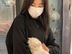 -糯米喵星人总部直营旗舰店·猫舍·幼猫出售