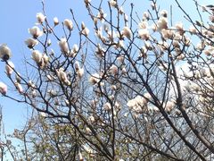 -四川大学(华西校区)