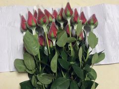 -循礼门鲜花花市(武汉循礼门店)