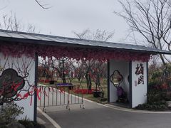 -上海长兴岛郊野公园