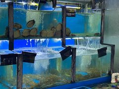 -老东镇啤酒屋海鲜加工·蒸汽海鲜·海鲜烧烤(台东店)