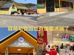 -大连森林动物园