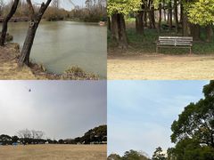 -上海滨江森林公园