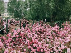 -长春公园(普阳街道)