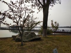 -滆湖低碳生态公园