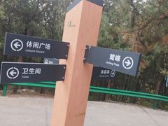 -北京鹫峰国家森林公园