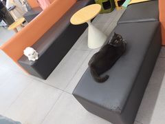 -全心全意动物诊疗中心医院(北苑店)