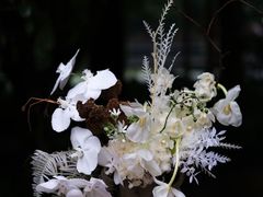 -怪咖·joker陈楠