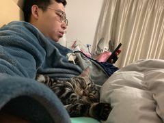-猫大福·Fortune Cat猫舍(百子湾店)