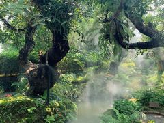 -Chom Cafe and Restaurant