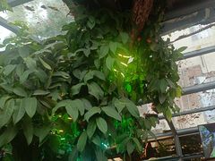 -海岛八号龙虾烧烤田鸡(蓝天路总店)