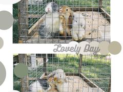 -安德鲁户外烧烤帐篷营地(马泉营店)