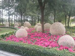 android_upload_pic-龙环葡韵住宅式博物馆