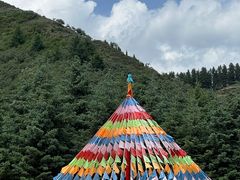 -鹞子沟国家森林公园