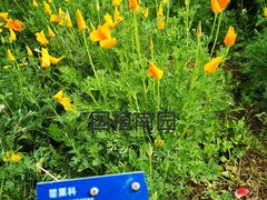 -国家植物园南园