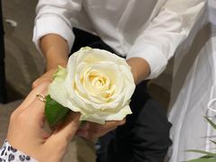 -桉树林A coffee 森林餐厅(三圣乡店)
