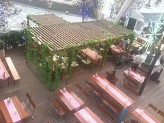 -Paulaner·德国帕拉娜自酿啤酒餐厅(海上世界店)