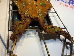 -天怡·鱼工厂(梅溪湖店)