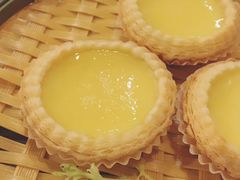 -点都德·毕德寮