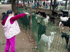 -武汉开心果园农业发展有限公司