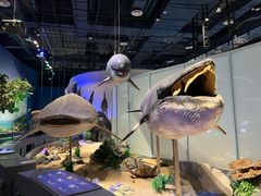 -中国（海南）南海博物馆