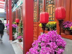 -万柳阁小馆·花园餐厅(龙潭湖店)