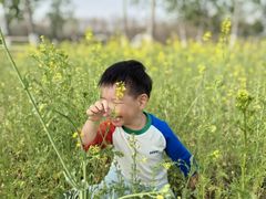 -汉长安城未央宫国家考古遗址公园