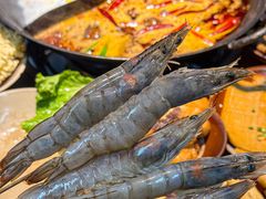 -阳阳老火锅(小南门店)