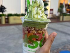 撒露-Salud撒露欧洲冻酸奶(蓝色港湾店)