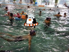 -五台山南京工业大学游泳馆(江浦馆)