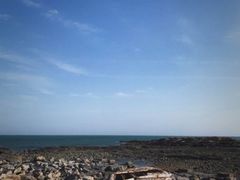 -日照海滨国家森林公园