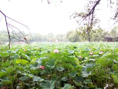 -承德避暑山庄景区