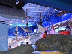 -海合安青岛极地海洋公园