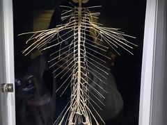 -生命奥秘博物馆
