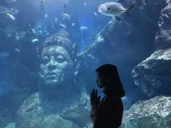 -暹罗海洋世界