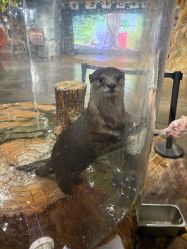 -Zoolung Zoolung动物主题公园(海信广场店)